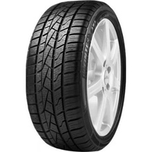 Opony Delinte AW5 155/70 R13 75T