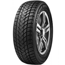 Opony Delinte WD1 SOFT 195/65 R15 91T