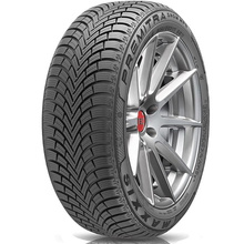 Opony Maxxis Premitra Snow WP6 XL 195/55 R16 91H