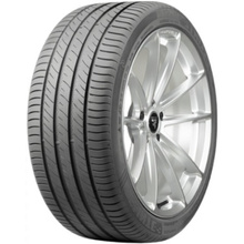 Opony Delinte DS 2 XL 195/65 R15 95V